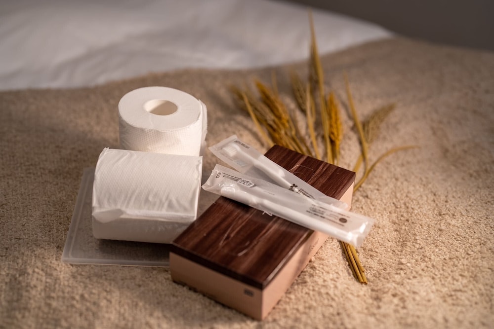 コンフォート トリプルルーム ダブルベッド 1 台ソファーベッド付き パークビュー リビング エリア5 | INA HOUSE GION