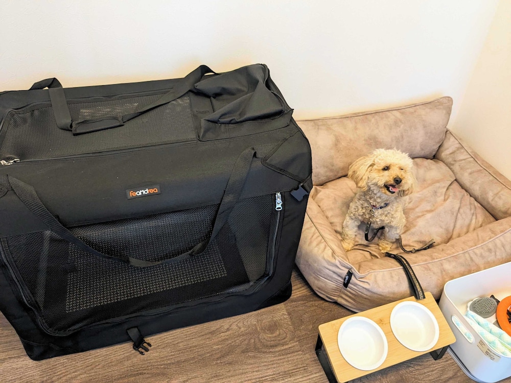 コンフォート アパートメント ペットフレンドリー 禁煙(レンタカー付) | B/C APARTMENT 浅草花園通 レンタカー/サウナ付きホテル