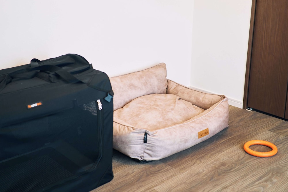 コンフォート アパートメント ペットフレンドリー 禁煙（レンタカー付） 客室12 | B／C APARTMENT 浅草花園通 レンタカー／サウナ付きホテル