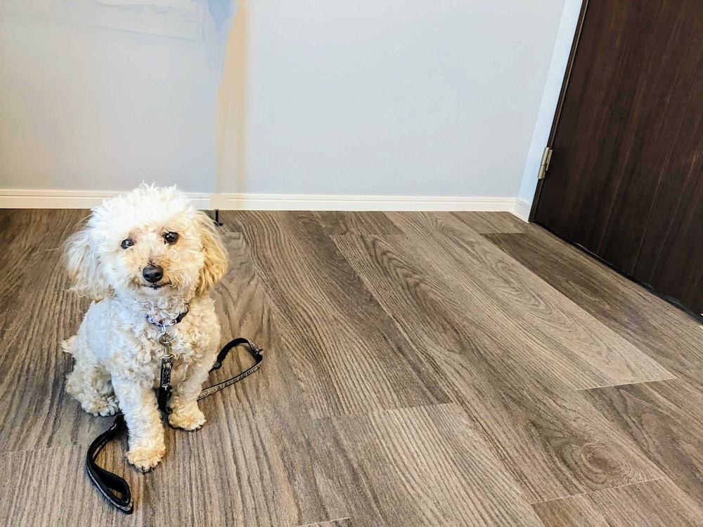 客室1 | B/C APARTMENT 浅草花園通 レンタカー/サウナ付きホテル 客室1 | B/C APARTMENT 浅草花園通 レンタカー/サウナ付きホテル