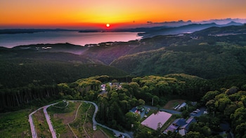 そのぎ茶温泉里山の湯宿 つわぶきの花