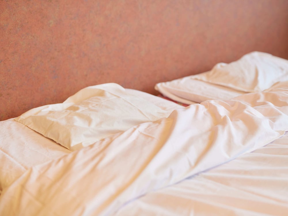 [洋室] トリプルルーム 喫煙 客室1 | ハヤマ荘