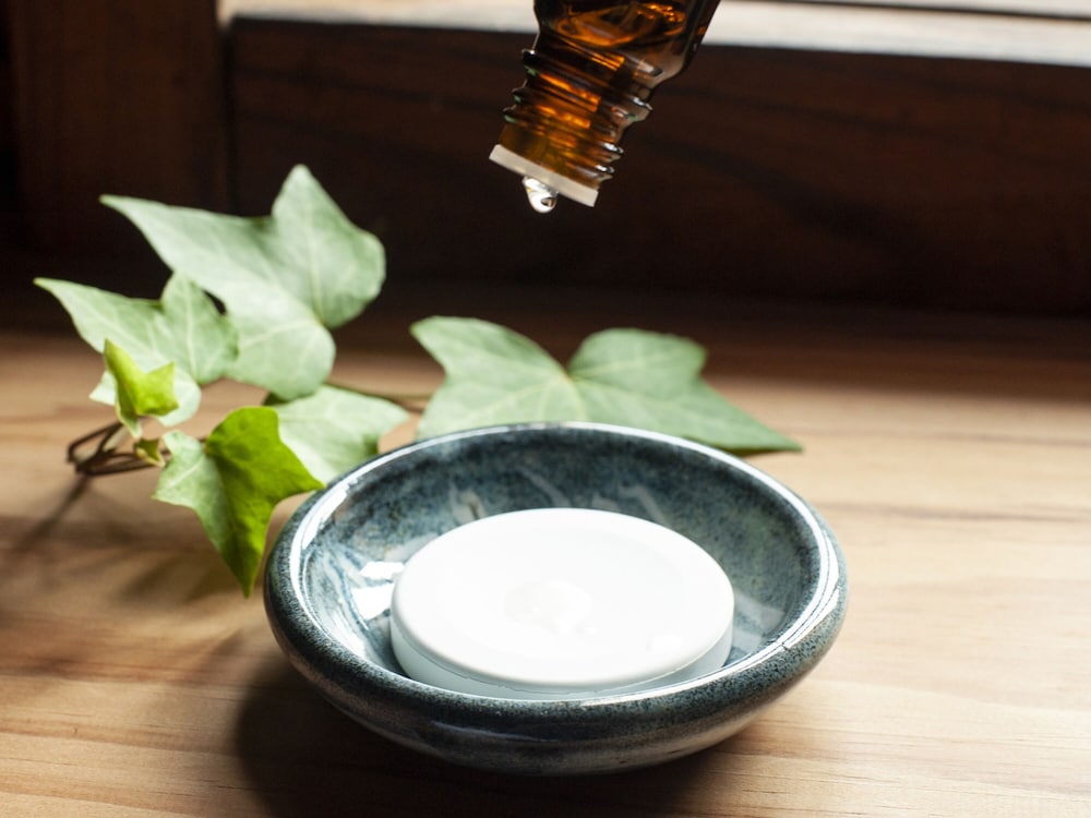 釜屋 「潮花 」－KAMAYA Shiobana－＜4名定員＞ 禁煙 客室の設備とサービス0 | RITA 出雲鷺浦