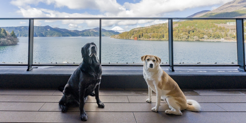 Rakuten STAY FUJIMI TERRACE 箱根芦ノ湖 (ドッグフレンドリー) スイート/10名定員 禁煙 テラス / パティオ1 | Rakuten STAY FUJIMI TERRACE 箱根芦ノ湖　