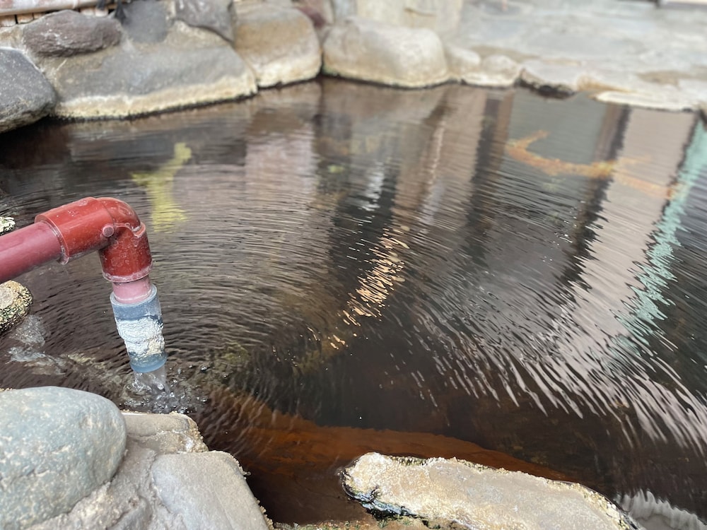 ファミリー ルーム バスルーム3 | 白水温泉 竹の倉山荘