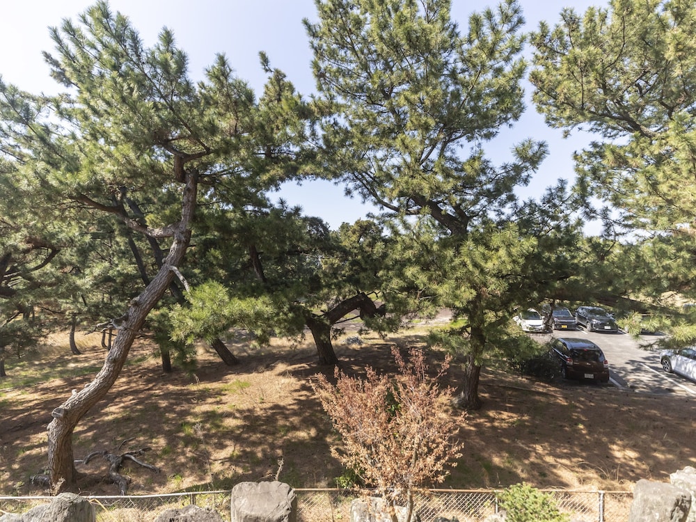 スーペリア ダブルルーム 禁煙 客室6 | Tabist 琴弾荘