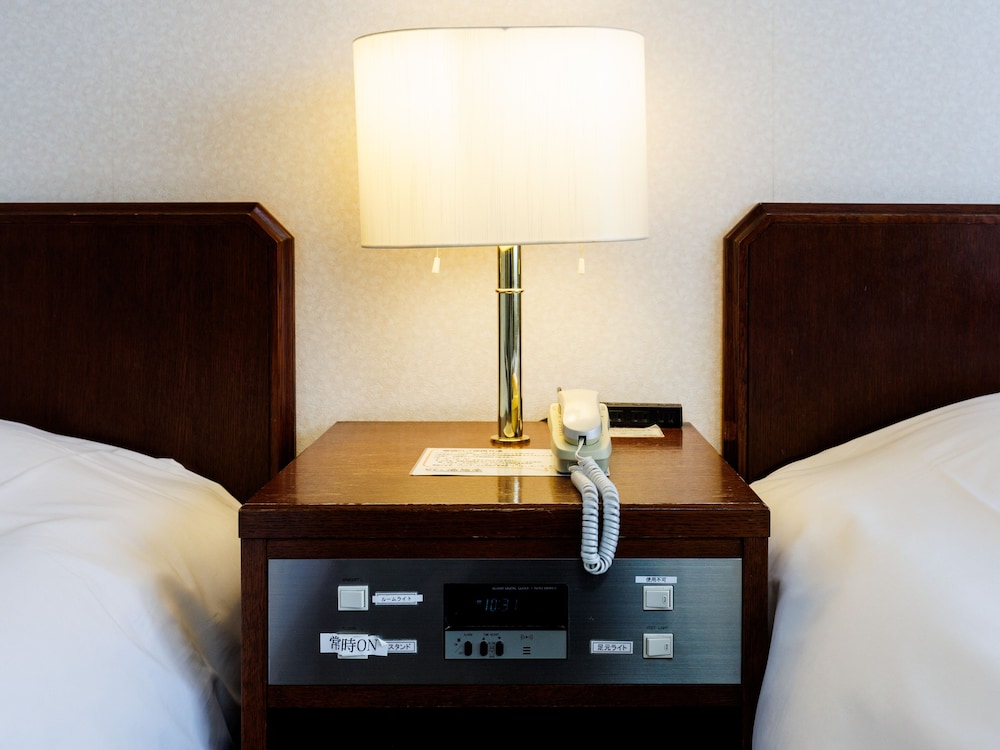 [禁煙] 洋室1~2名〈街側〉 客室9 | Tabist ホテルねむろ海陽亭