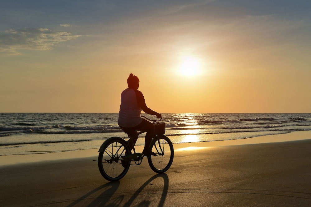 自転車1 | ホテル プリンセス - 大人限定