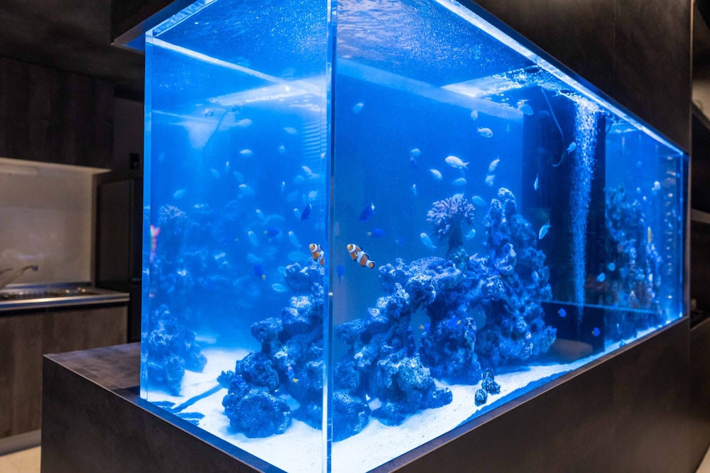 デザイン ハウス 客室43 | ジャパビスタ アクア