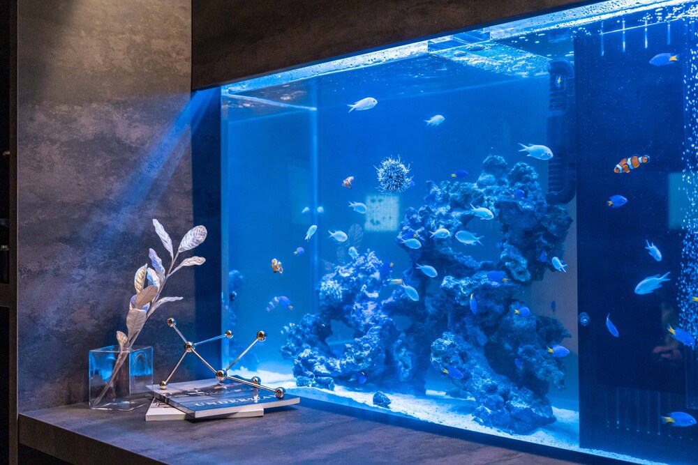 デザイン ハウス 客室70 | ジャパビスタ アクア