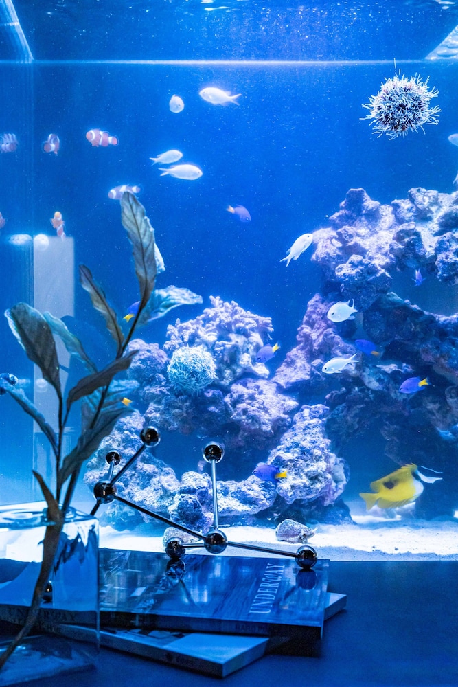 デザイン ハウス 客室50 | ジャパビスタ アクア