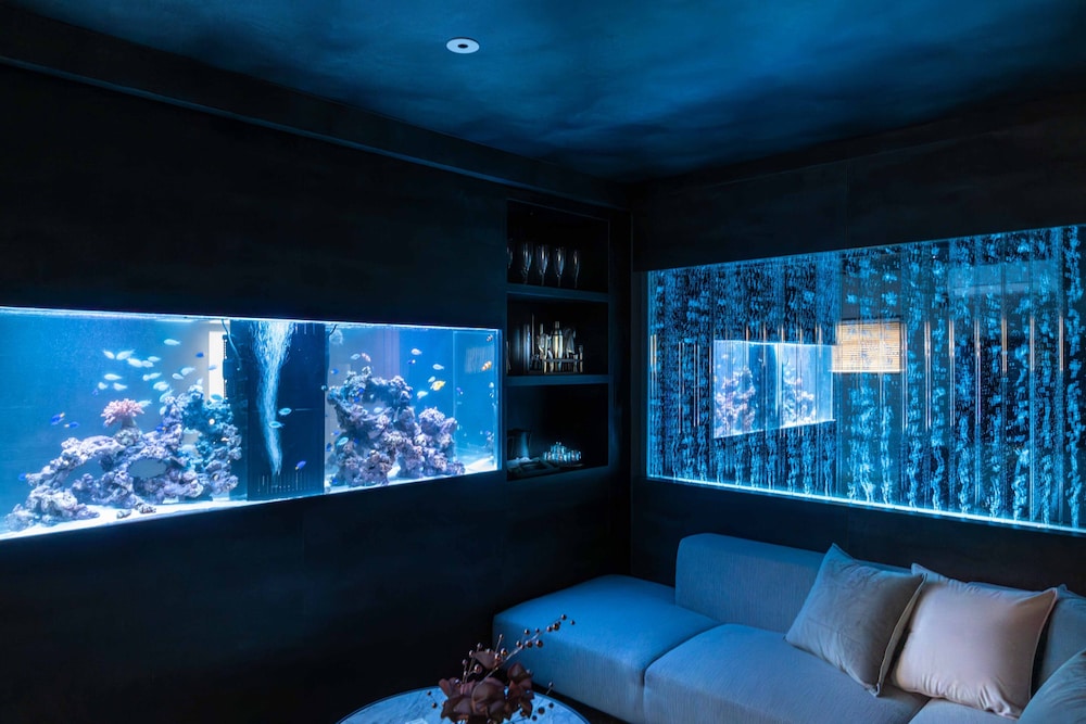 デザイン ハウス 客室25 | ジャパビスタ アクア