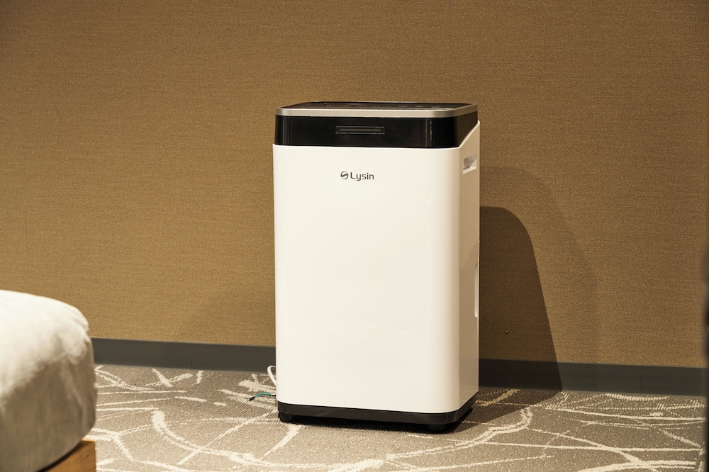 クイーンソファーベッド_禁煙(レンタカーなし) 客室の設備とサービス3 | B/C HOTEL 那覇 レンタカー付ホテル