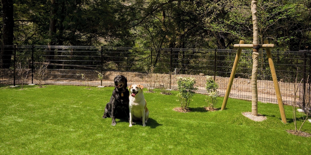 B type 天然温泉, サウナ,ドッグラン[ペット可]（6名定員） テラス / パティオ0 | Rakuten STAY VILLA 鬼怒川リバーサイド