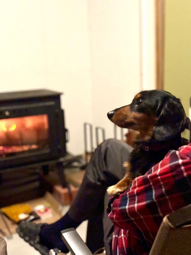 モダンジャパンハウス禁煙 オーシャンビュー B, ペット可 客室内のダイニングエリア2 | 一棟貸し宿　凪nagi