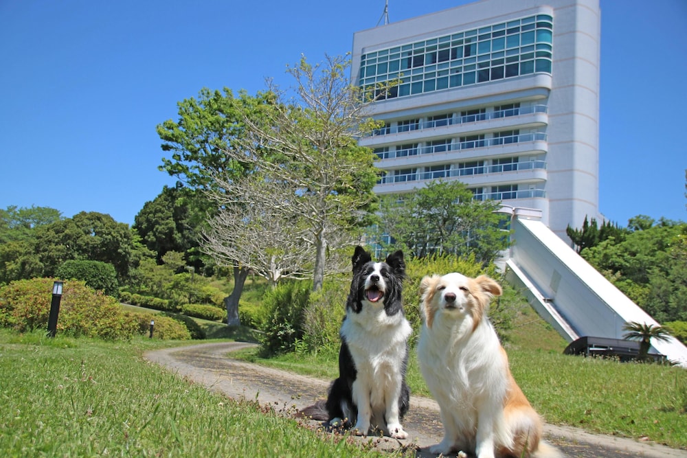 メインイメージ | 南紀白浜わんわんパラダイス メインイメージ | 南紀白浜わんわんパラダイス