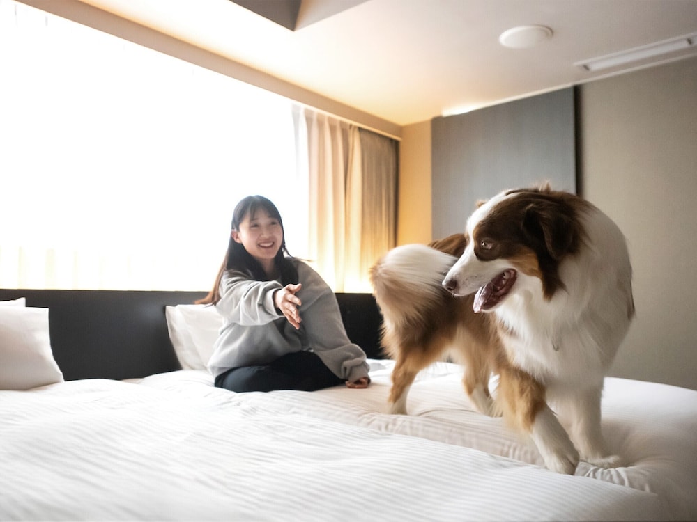 [Dog Friendly] デラックス ツイン 禁煙 | hotel anddoggy京都二条