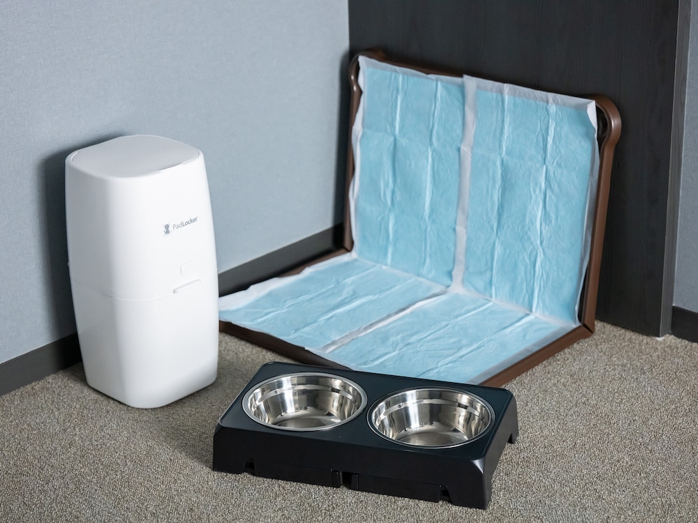 [Dog Friendly] スーペリア ツイン 禁煙 客室6 | hotel anddoggy京都二条