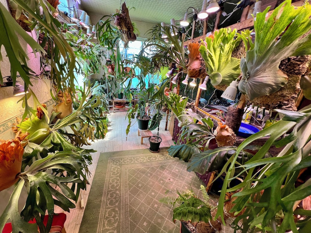 フロント1 | レンタルコテージ　サントロペ