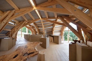 千年オリーブテラス for your wellness