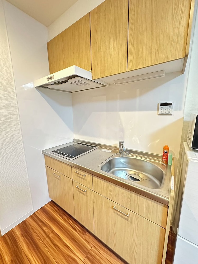 エコノミー アパートメント 専用キッチン3 | SOLASIA residence 北上野501