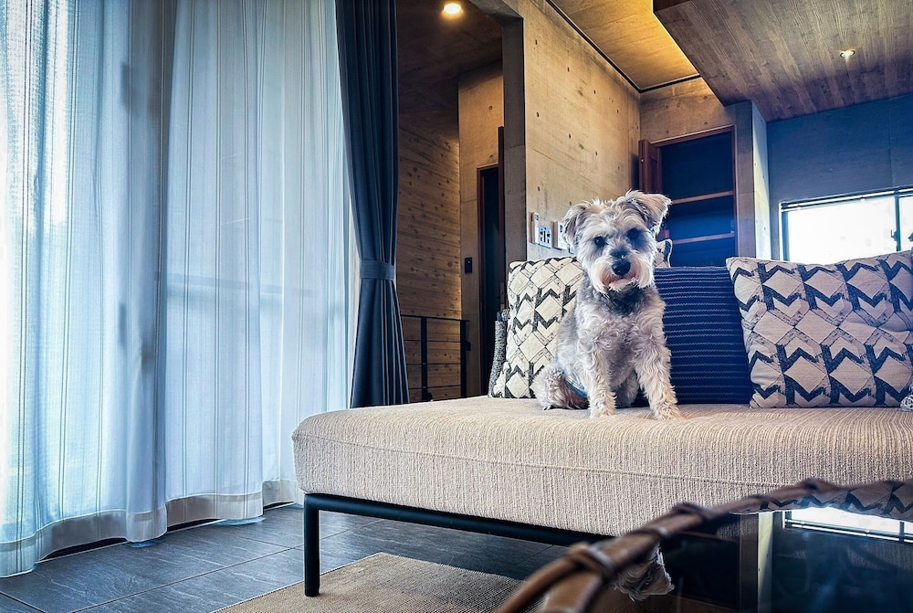 ヴィラ プライベートプール ビーチサイド (No. 2) 客室8 | RYUKYU BREEZE