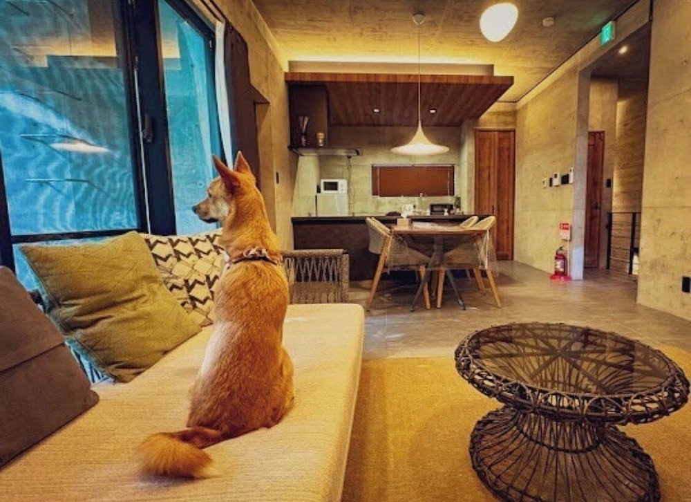 ヴィラ プライベートプール ビーチサイド (No. 2) 客室12 | RYUKYU BREEZE