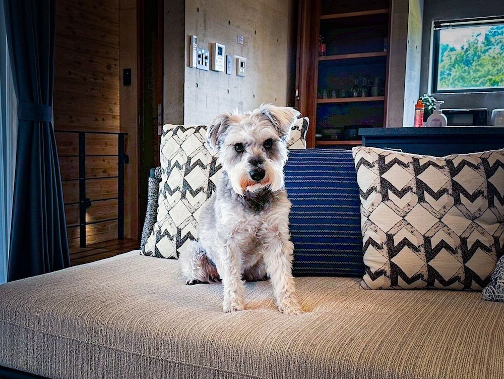 ヴィラ プライベートプール ビーチサイド (No. 2) 客室9 | RYUKYU BREEZE