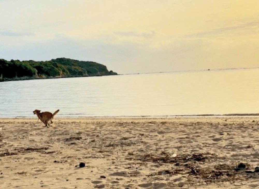 ヴィラ プライベートプール ビーチサイド (No. 2) 客室16 | RYUKYU BREEZE