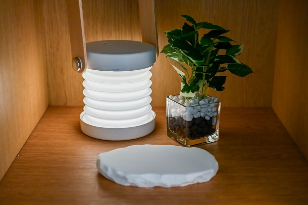 クラシック アパートメント バルコニー (203) 客室8 | Fukuoka Loft 203