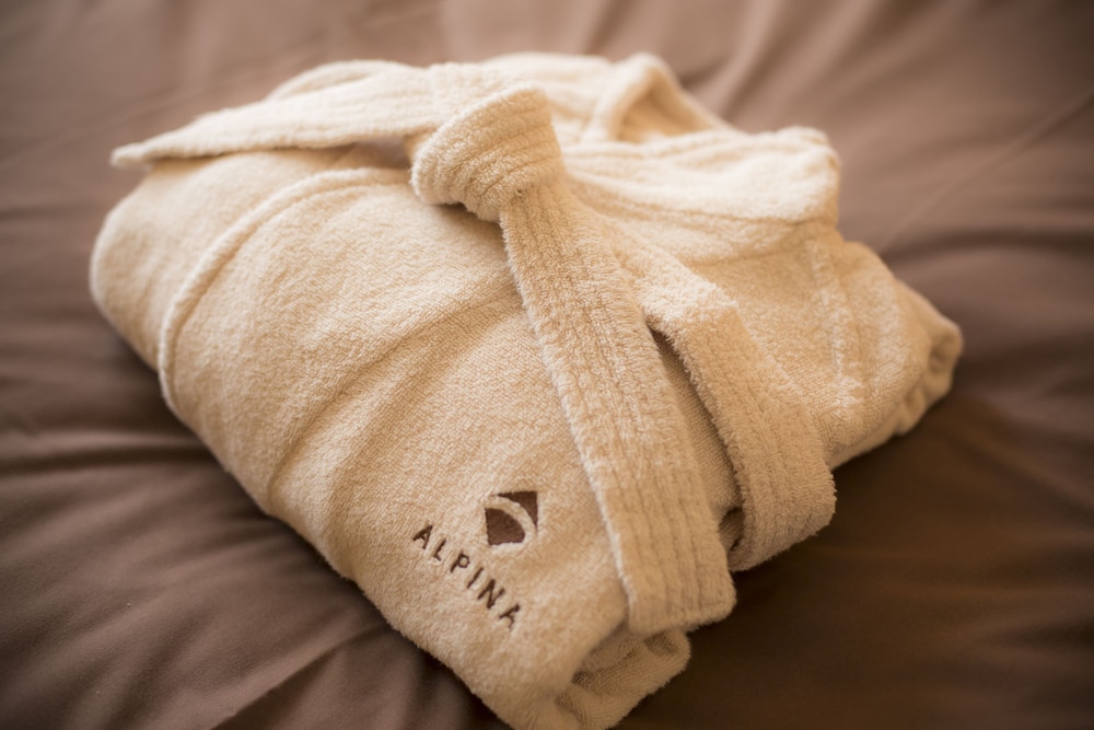 デラックスハリウッドルーム禁煙 客室の設備とサービス5 | スパホテルアルピナ飛騨高山