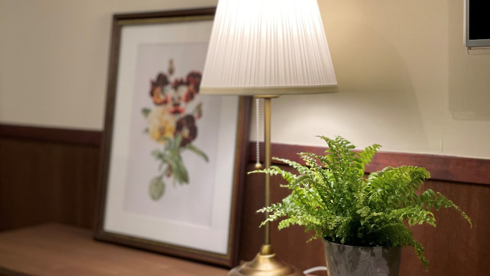 スタンダードキングダブルBルーム 客室1 | はくば Moegi HOTEL