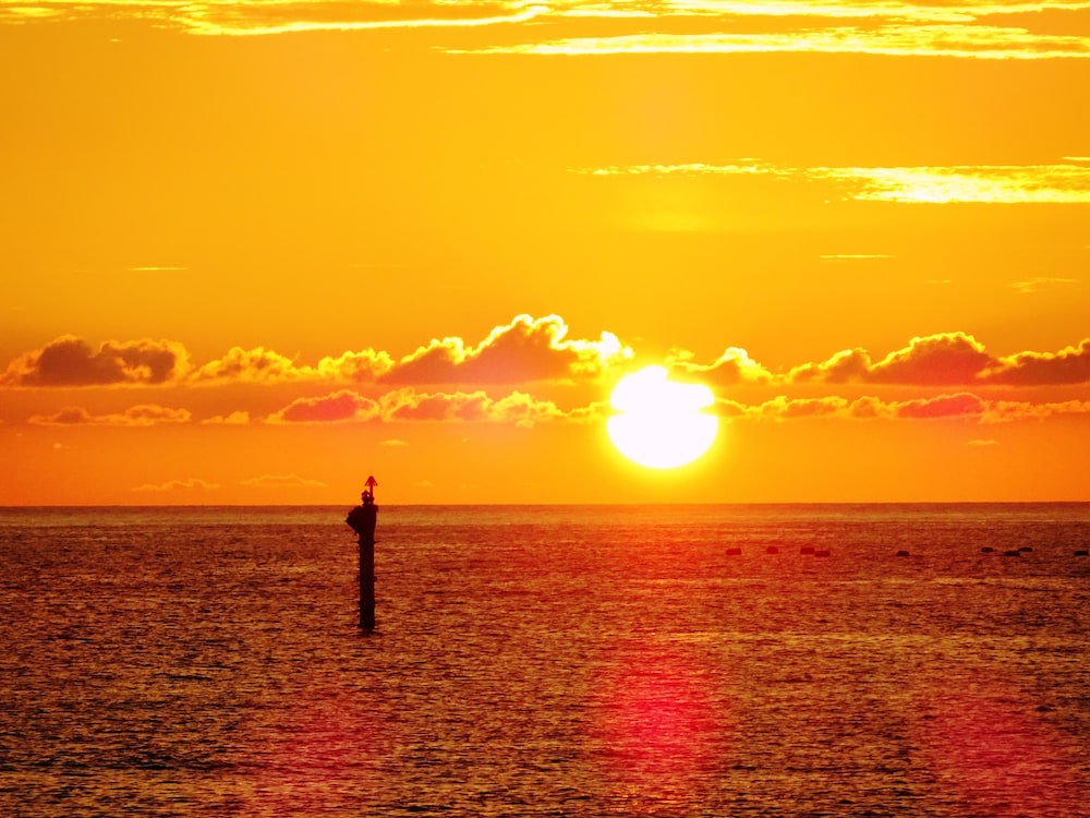 ツインルーム　オーシャンビュー　禁煙 (スペシャル) ビーチ / オーシャン ビュー0 | コンドミニアムホテル モンパ