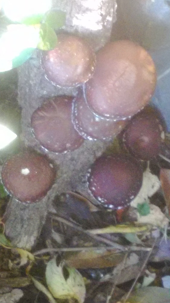 施設内の設備1 | ペンション スーベニール