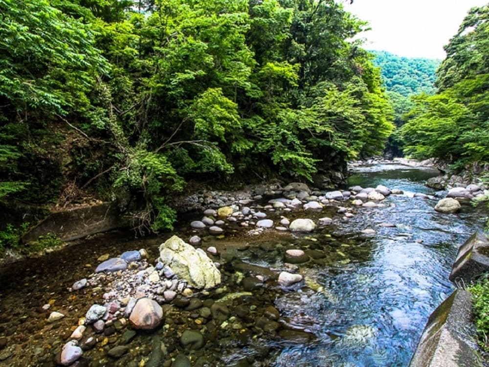 [和美麗] 15平米 喫煙 マウンテン ビュー0 | リブマックスリゾート天城湯ヶ島