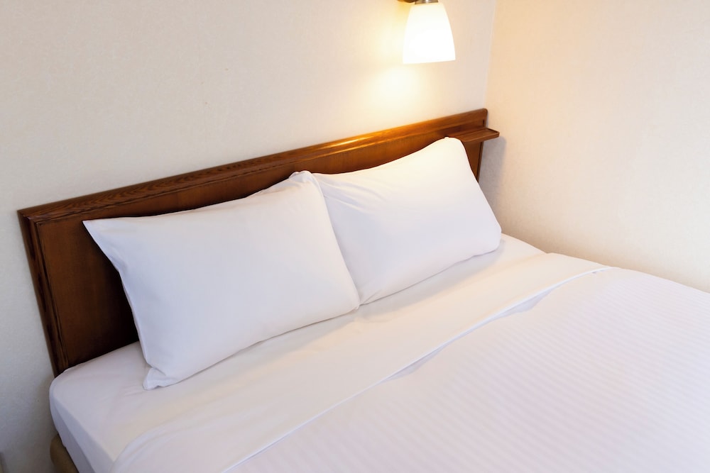 スタンダード ダブルルーム 客室1 | 天然温泉 アリストンホテル大分