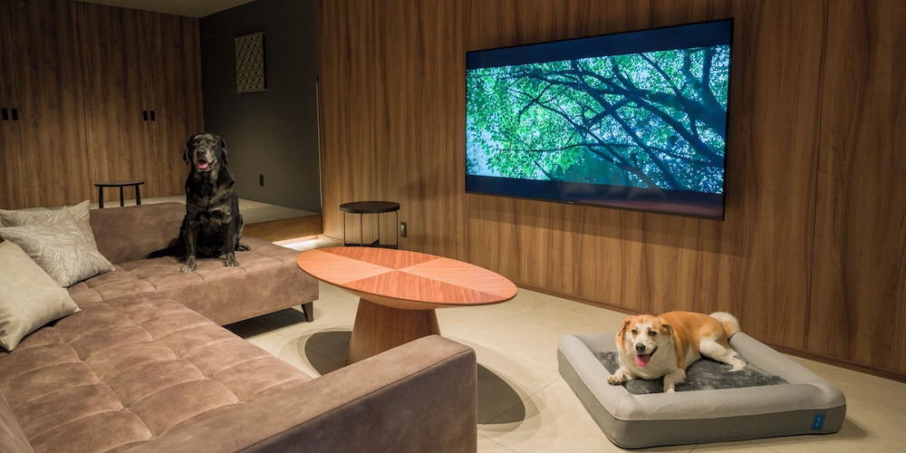 [D] 2クイーンベッド + 小上り (ドッグフレンドリー) / 6名 禁煙 リビング エリア1 | Rakuten STAY TERRACE 箱根小涌谷