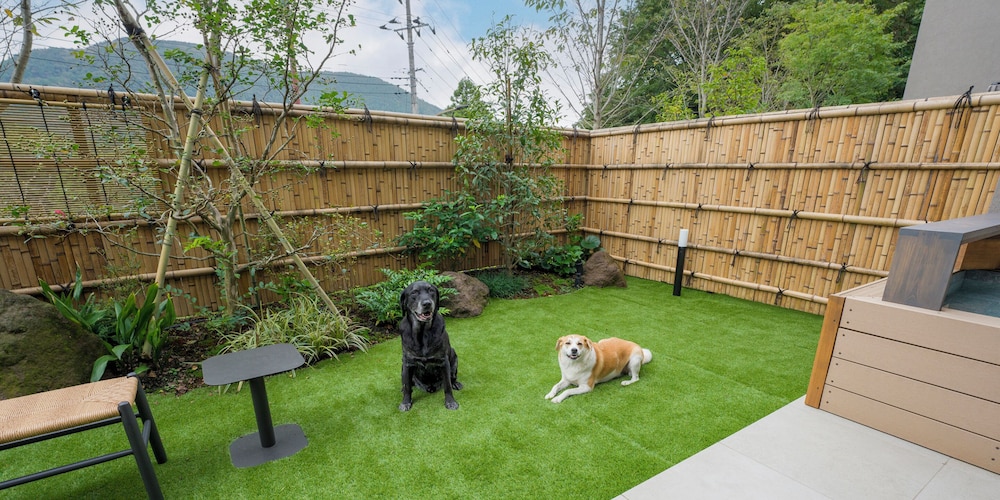 [D] 2クイーンベッド + 小上り (ドッグフレンドリー) / 6名 禁煙 バルコニーからの眺望0 | Rakuten STAY TERRACE 箱根小涌谷