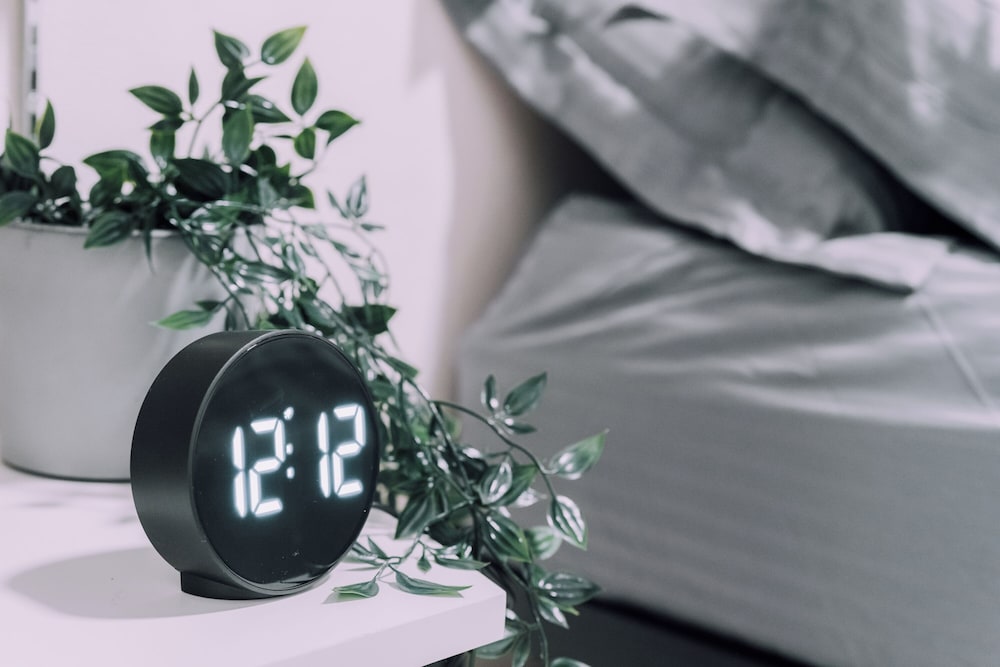 アパートメント 1 ベッドルーム 禁煙 客室5 | Minimalist Loft 205