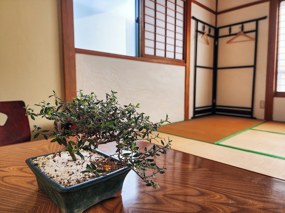 ダブルルーム マウンテンビュー 客室2 | ゲストハウスみかんせい