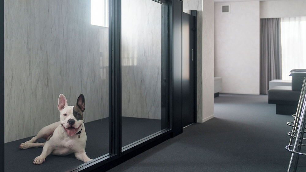 ラグジュアリー スイート バルコニー ガーデンビュー 客室14 | DOG HOTEL SHIRAHAMA