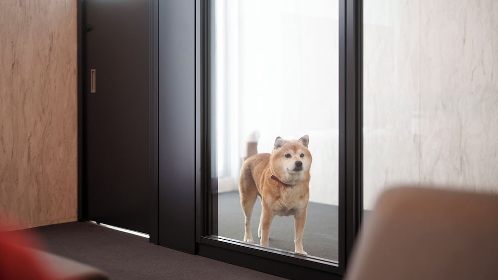 ラグジュアリー スイート バルコニー ガーデンビュー 客室17 | DOG HOTEL SHIRAHAMA