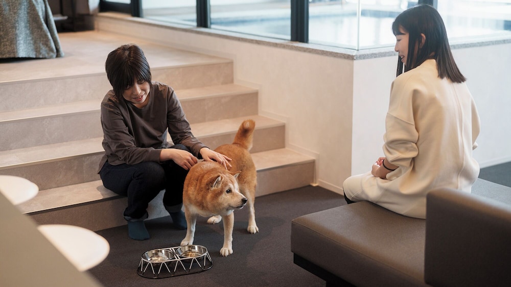 ラグジュアリー スイート バルコニー ガーデンビュー 客室8 | DOG HOTEL SHIRAHAMA