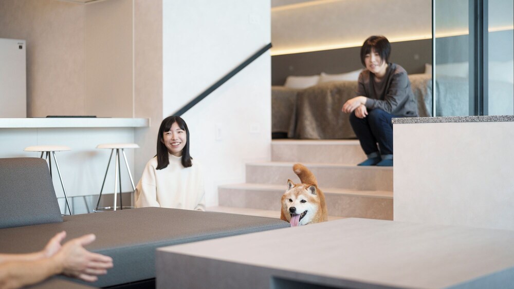 ラグジュアリー スイート バルコニー ガーデンビュー 客室16 | DOG HOTEL SHIRAHAMA