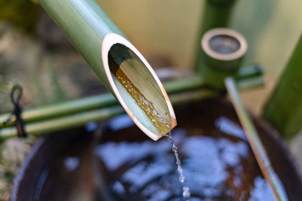 ベーシック ルーム 客室6 | Chikusui