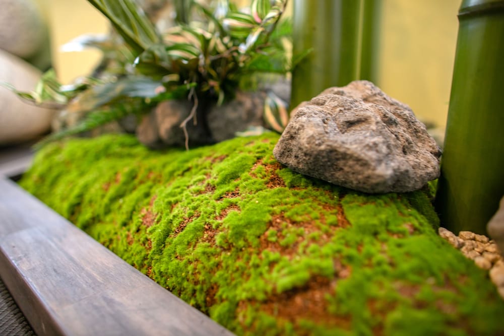 ベーシック ルーム 客室4 | Chikusui