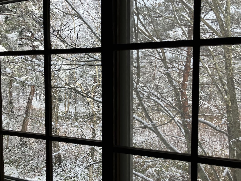 ベーシック コテージ 禁煙 ガーデンビュー 客室1 | コテージアリス