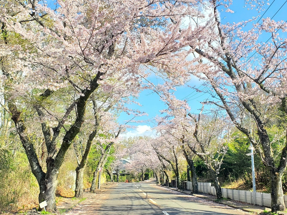 その他1 | 修善寺フォーレスト その他1 | 修善寺フォーレスト