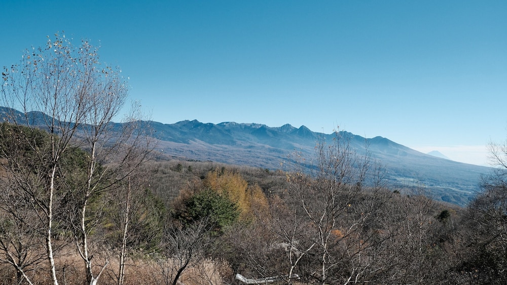 スタンダード ツインルーム マウンテンビュー マウンテン ビュー0 | GUESTHOUSE HOALOHA 4 SEASONS