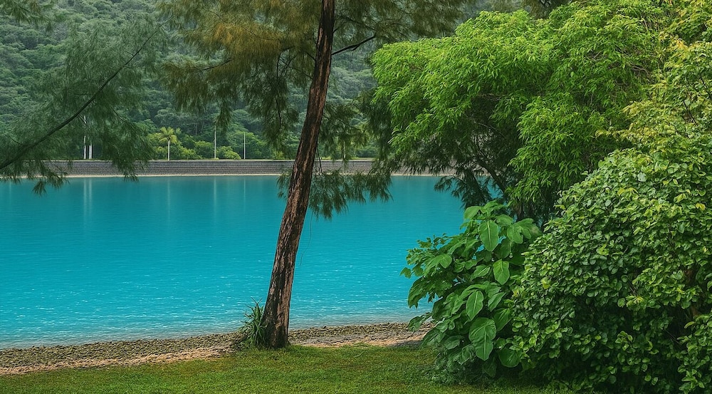 CORAL ISLAND 禁煙 (No.4) ビーチ / オーシャン ビュー0 | CORAL ISLAND